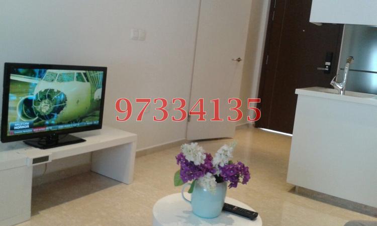 Cavan Suites (D8), Apartment #76275772
